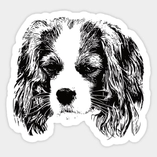 Cavalier King Charles Spaniel Sticker